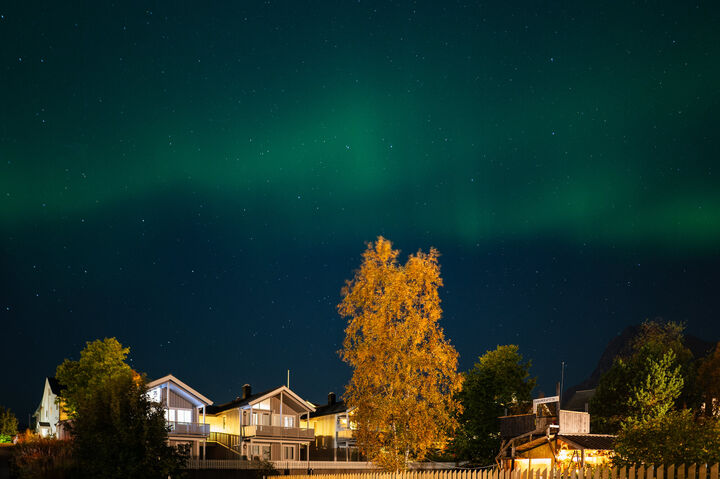 Aurora über den Lofoten, Norwegen