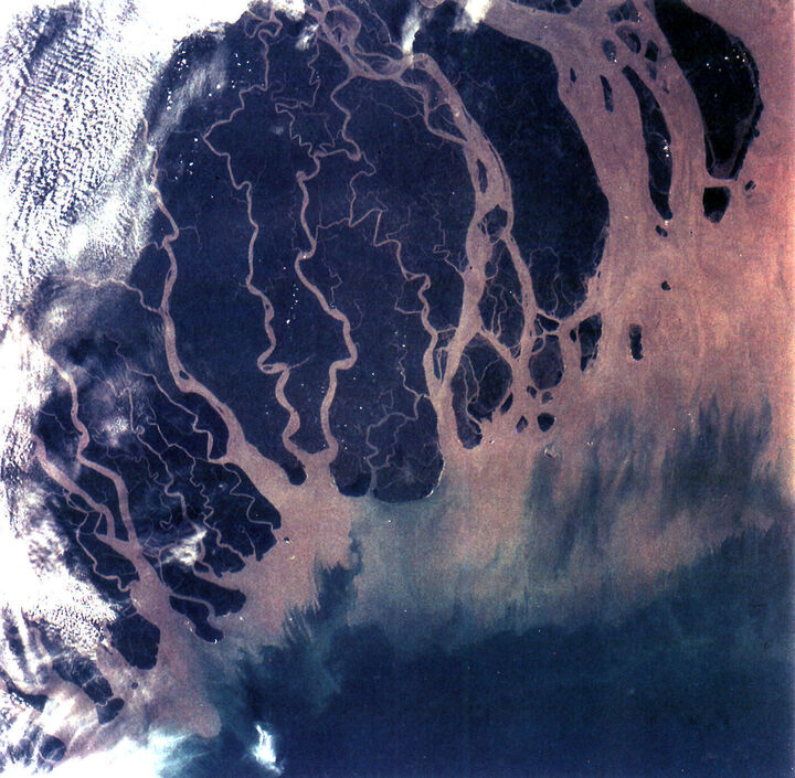 Das weit verzweigte Ganges-Delta